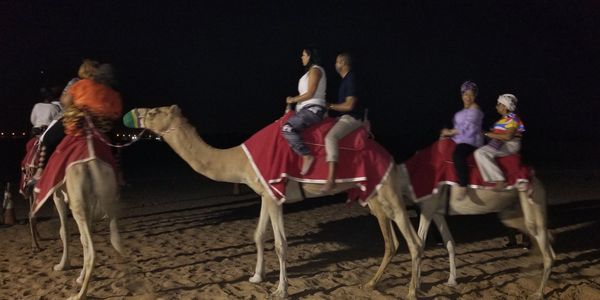 In Dubai-Arabian Night in the desert for dinner and riding the camel. Fun Time and great memories. 