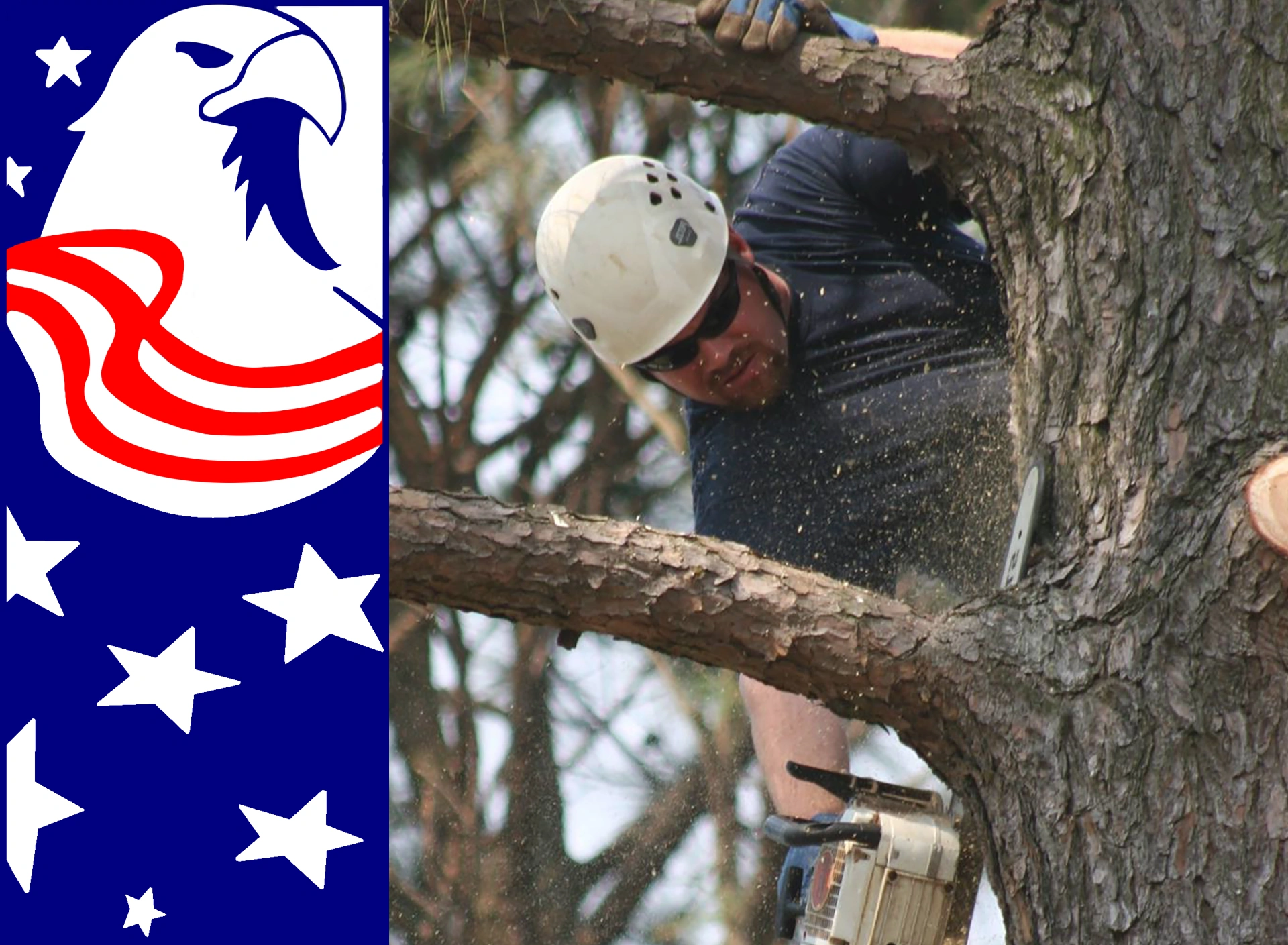 Complete Tree Services, Landscaping and Yard Maintenance
