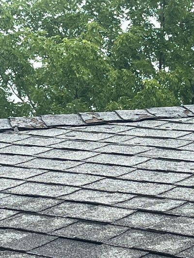 Roof shingles with some damaged areas under green trees.