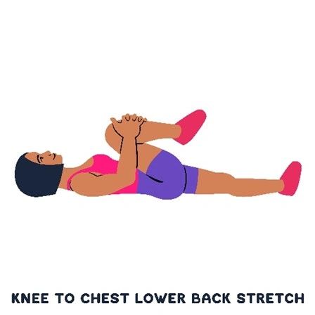 7 Exercises and Stretches for Low Back Pain