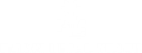 Palms Legal Group P.C.