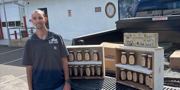 Man selling honey displayed on a truck bed.