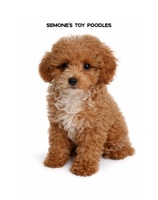 Semone's Toy Poodles
