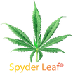 Spyder Leaf®