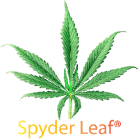 Spyder Leaf®