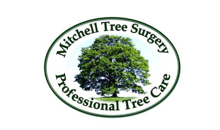 Mitchell Tree Surgery