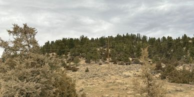 20 acres located less than an hour southwest of Billings, Montana