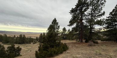 20 acres located less than an hour southwest of Billings, Montana