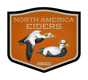 North America Eiders