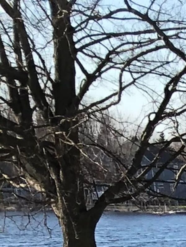 New home underground plumbing.