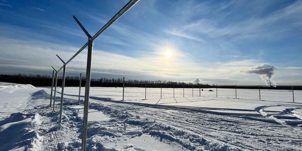 Chain link fence in progress - posts, barb wire arms, and top rail has been installed.