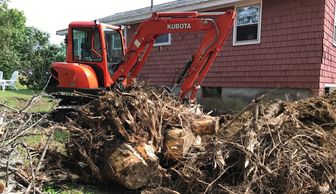 removed a cluster of stumps off the side of this foundation.  
Stump Removal Services, Atkinson NH 