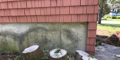 Stump Cluster That was pushing the Foundation of this house and had to be removed. See above photo