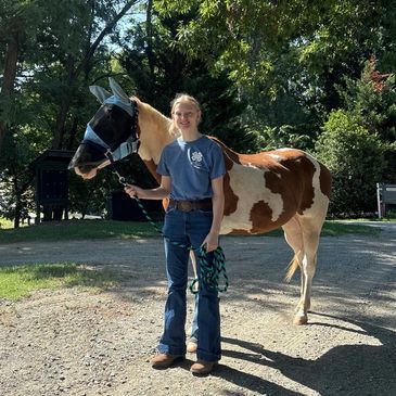 Person standing with a horse outdoors on a sunny day.