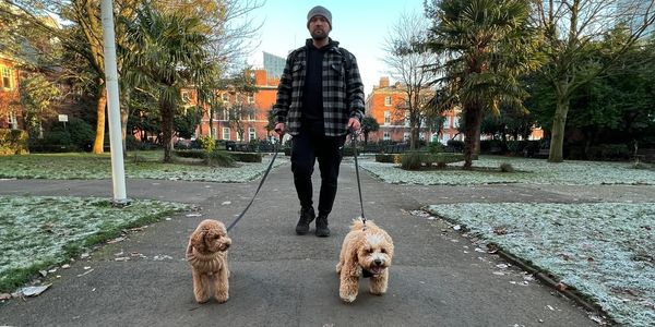 Man in a park with frost on ground holding two dogs on lead