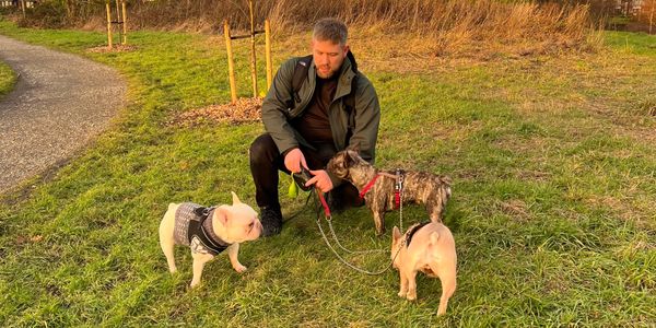 Man sat down with three dogs in a field 