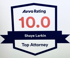 Law Offices of Shaye Larkin