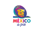 Mexico a Pie Walking Tours