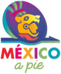 Mexico a Pie Walking Tours