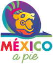 Mexico a Pie Walking Tours