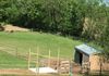 Two area pasture with two stall barn