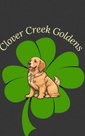 Clover Creek Goldens