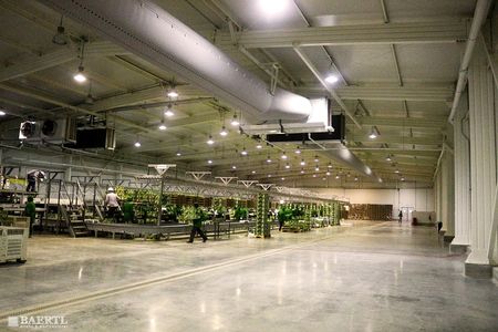 Planta de Empaque Palta - BAERTL diseño y edificaciones