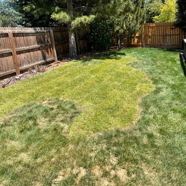 Sod Installation!
