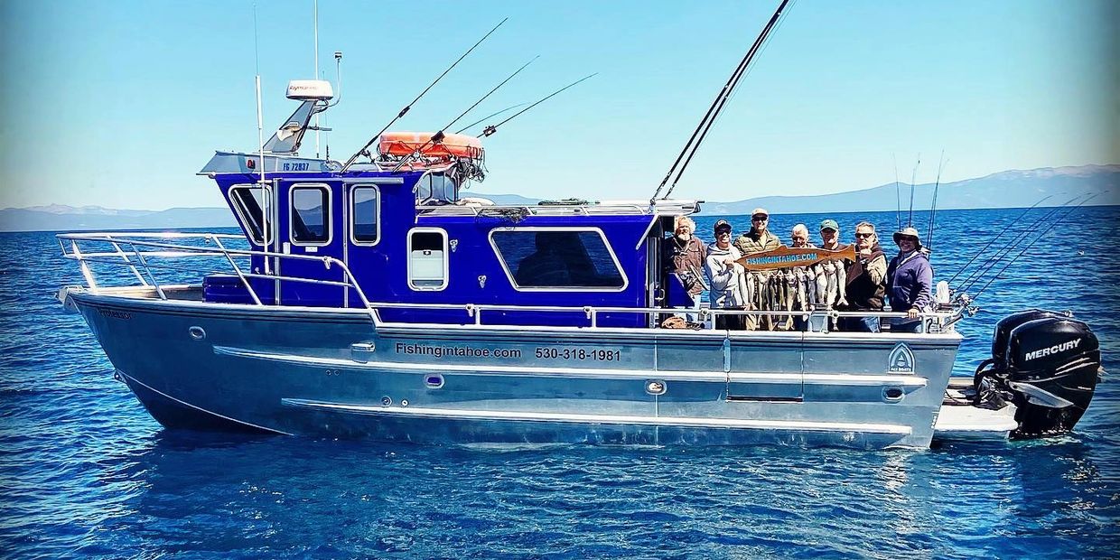 The Professor of Roundhill Pines Resort