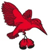 Kingfisher Amateur Boxing Club