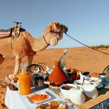 Camel standing next to a desert table set with Moroccan food and drinks.