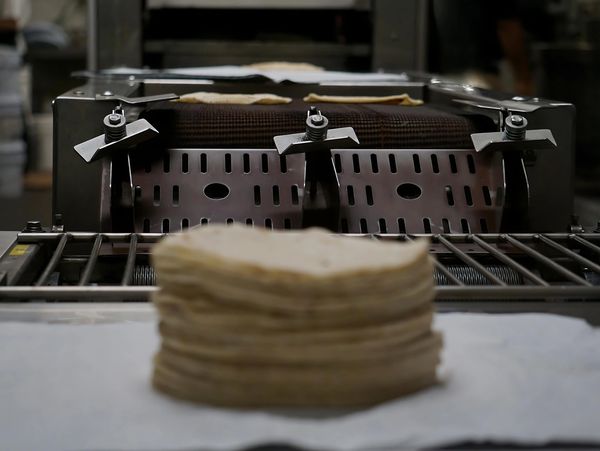 Stack of flatbreads on a conveyor belt in a factory.