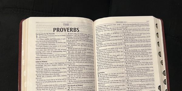 Open Bible showing the Book of Proverbs with highlighted text.