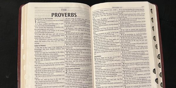 Open Bible showing the Book of Proverbs with highlighted text.