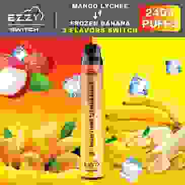 Ezzy 10 аккумулятор