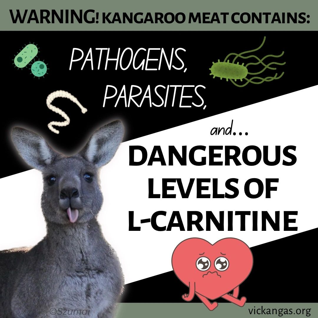 KANGAROO MEAT & L-CARNITINE HEALTH RISK