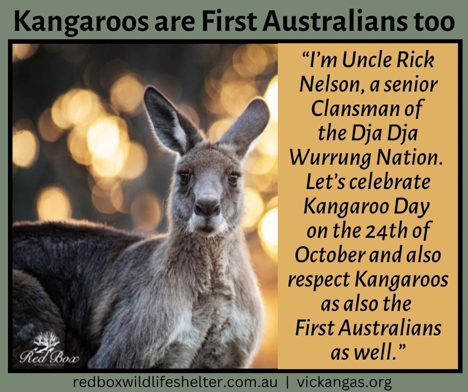 Kangaroos are First Australians too