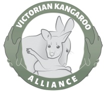Kangaroo Truth