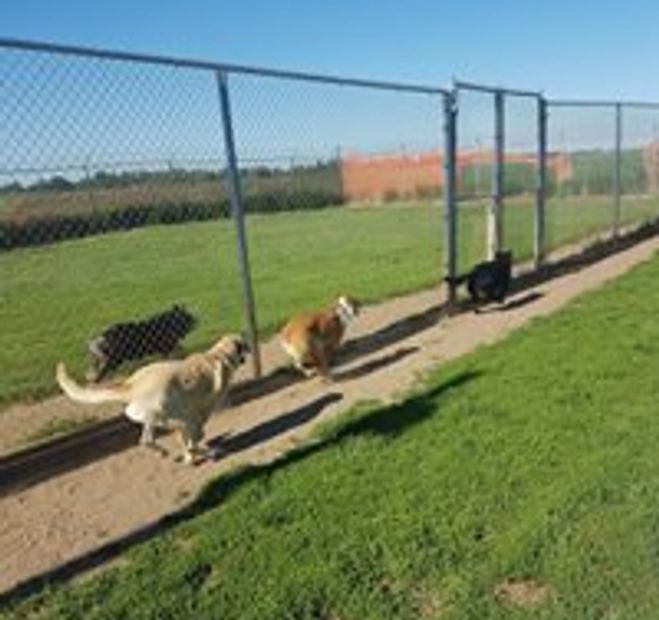 Prairie Rose Boarding Kennels