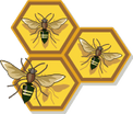 facebook.com/swarmteam6