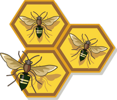 facebook.com/swarmteam6