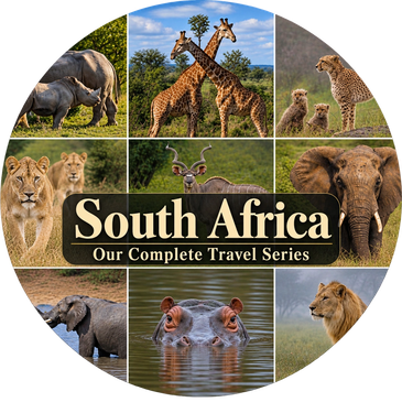South Africa wildlife travel blog series