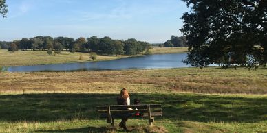 Girl and her dog sat on a bench admiring the view