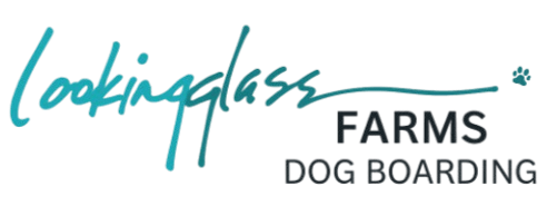 Lookingglass Farms Dog Boarding
