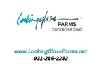 Lookingglass Farms Dog Boarding