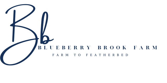 Blueberry Brook Farm Resort