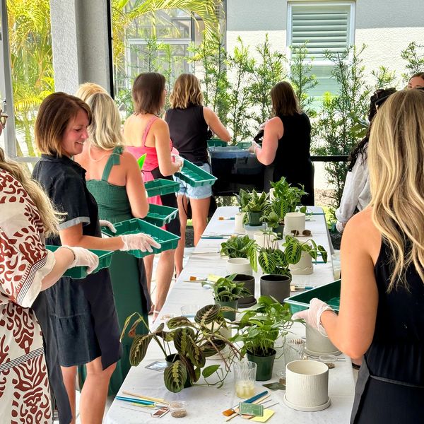 Whether you're bonding with your besties or gathering with your crew, celebrate with a Wally's Plant