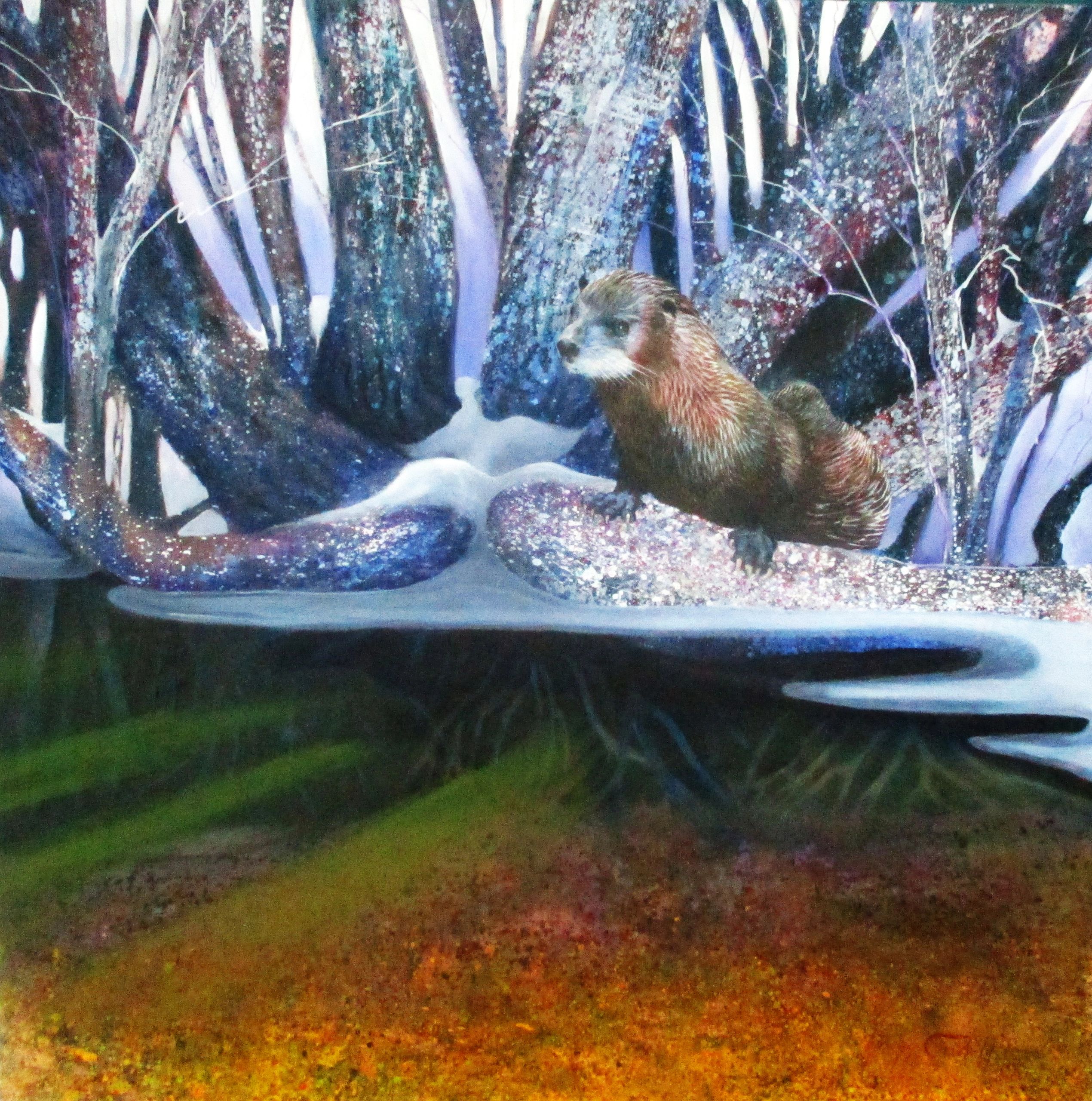 otter, stream, nature, snow, winter, survival, endangered species