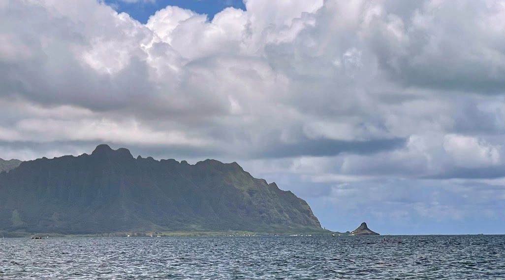 K.Bay Bros Fish & Ice - Contractor in Kaneohe