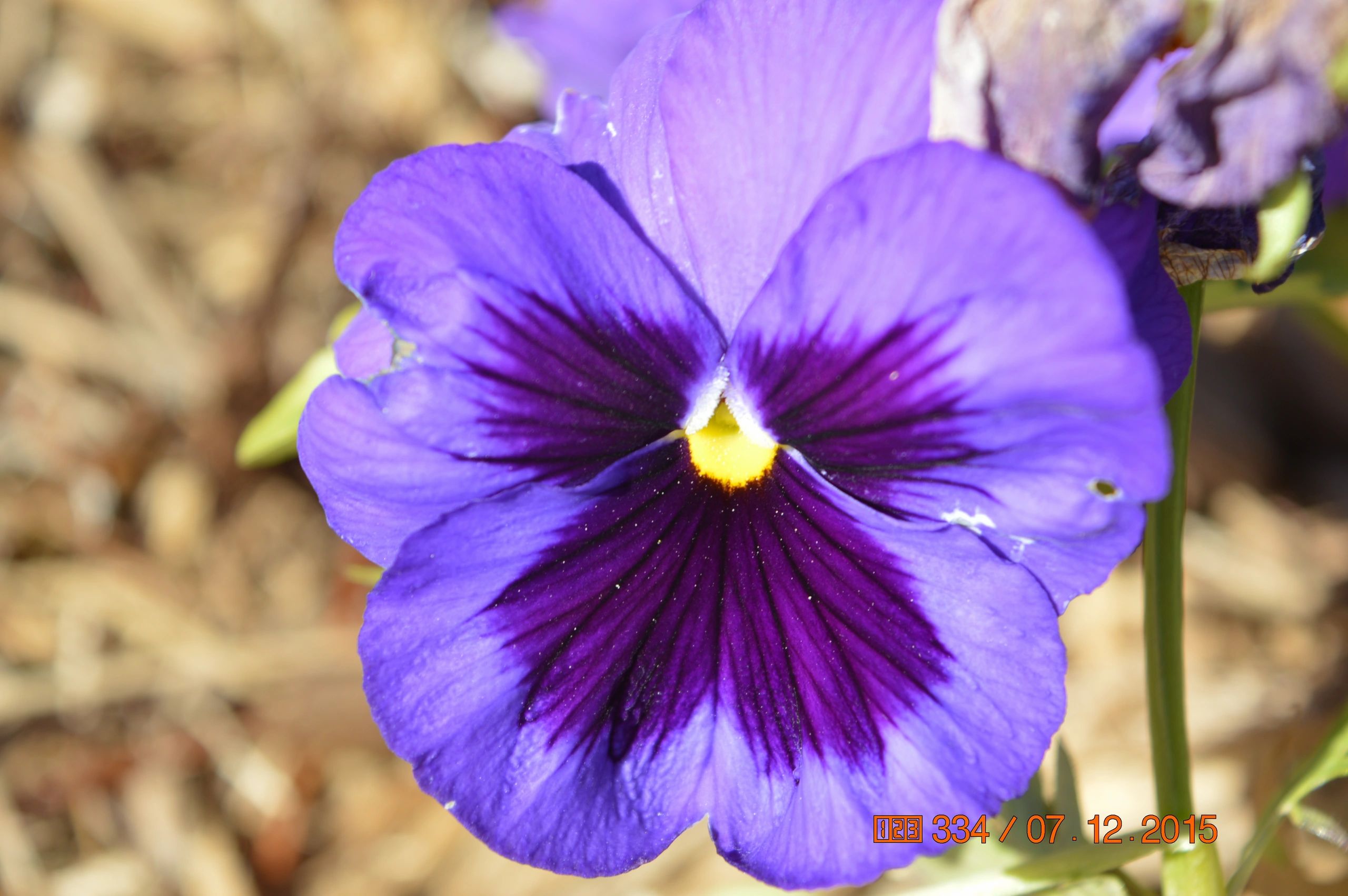 owner financed homes in tulsa and surrounding areas